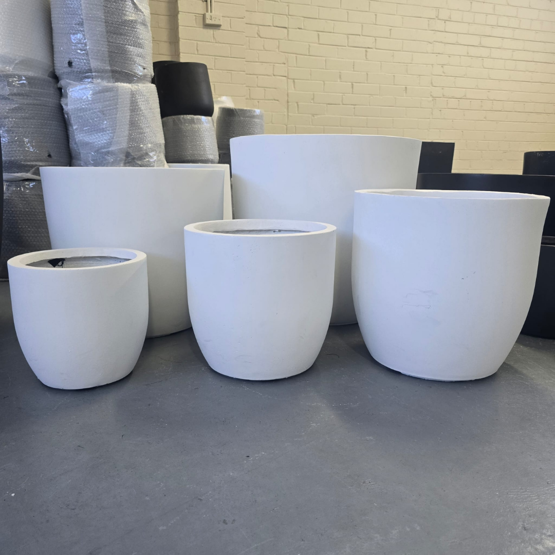 Senera Egg White from The Nurso in a clear container, showcasing its pure, liquid egg white texture.