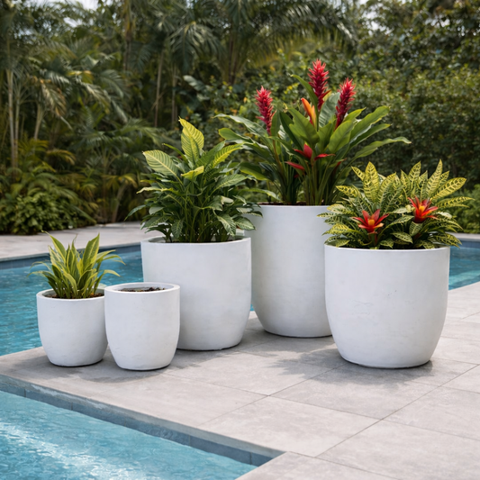 Senera Egg White by The Nurso in a clear container, showcasing fresh, liquid egg whites suitable for cooking or baking.