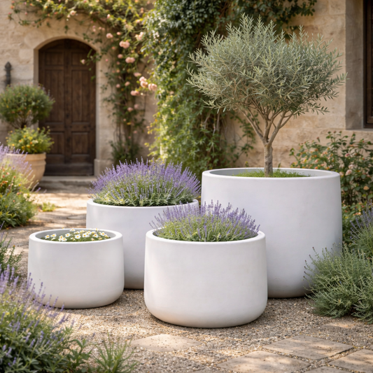White Tuscan Drum by The Nurso featuring a smooth surface and elegant design, perfect for home decor or as a statement piece.
