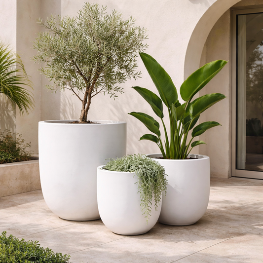 White Tuscan Egg Pot by The Nurso, 28cm x 26cm, featuring a classic egg-shaped design for cooking and serving.