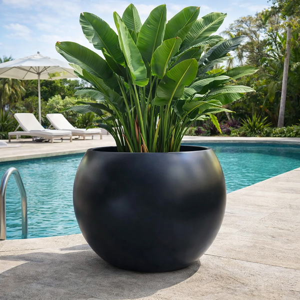 Black Cedar Titan Pot with a W32cm x H25cm size, featuring a modern design suitable for outdoor or indoor plants.
