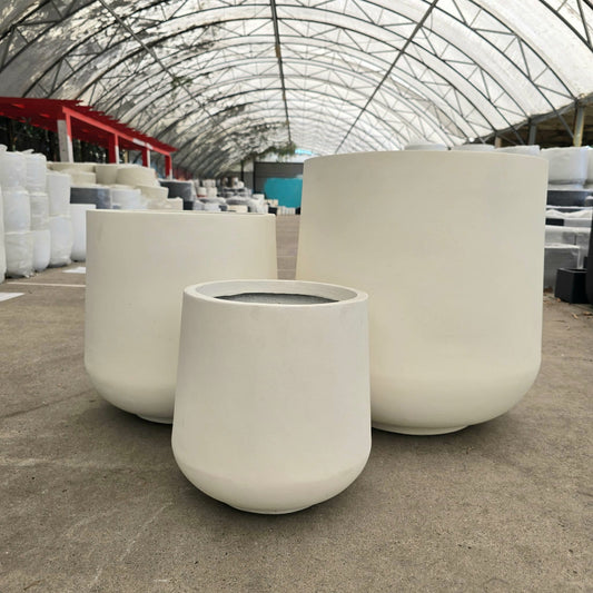 White Senera Cigar Pot with a sleek design, measuring 32cm wide and 33cm tall, ideal for cigar storage or display.